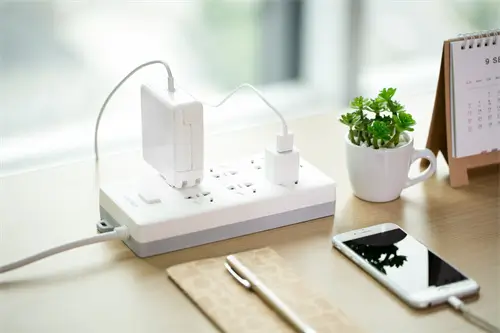 尾巴的英文名含义